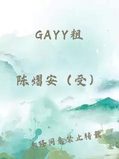 GAYY粗