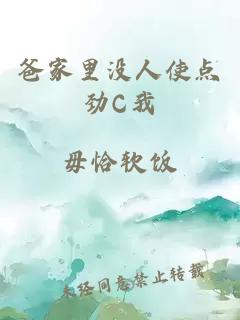 爸家里没人使点劲C我