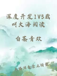 深度开发1V3我叫大海阅读