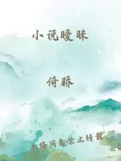 小说暧昧