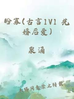 盼寡(古言1V1 先婚后爱)