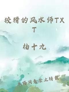 狡猾的风水师TXT