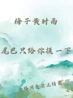 梅子黄时雨