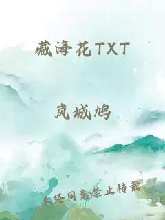 藏海花TXT