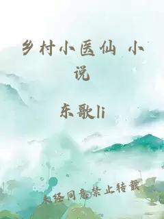 乡村小医仙 小说