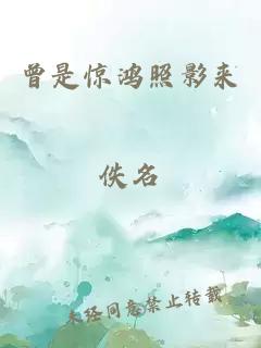 曾是惊鸿照影来