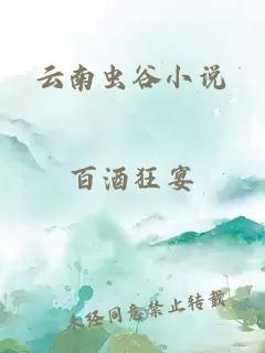 云南虫谷小说