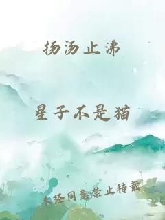 扬汤止沸