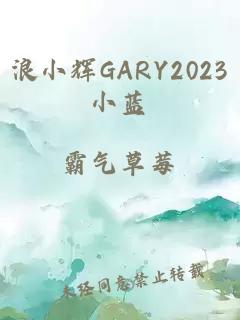 浪小辉GARY2023小蓝