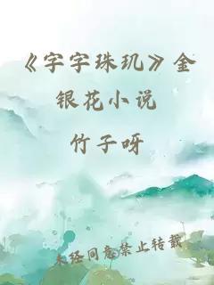 《字字珠玑》金银花小说