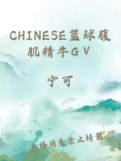 CHINESE篮球腹肌精牛GⅤ