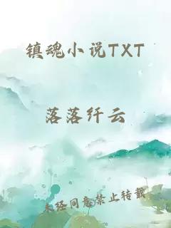 镇魂小说TXT