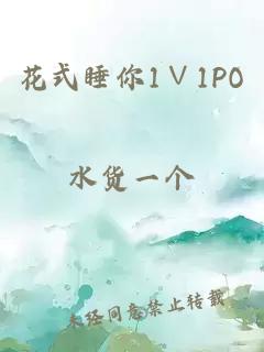 花式睡你1∨1PO