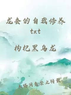 龙套的自我修养txt