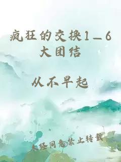 疯狂的交换1—6大团结