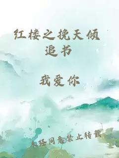 红楼之挽天倾 追书