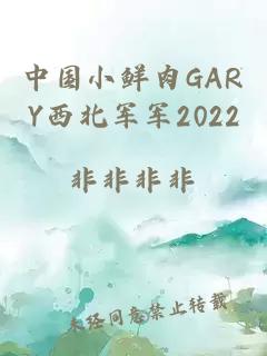 中国小鲜肉GARY西北军军2022