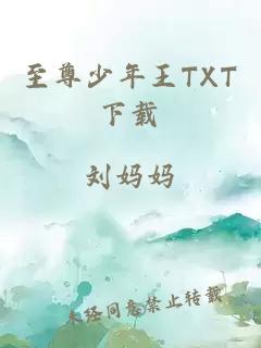 至尊少年王TXT下载