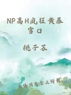 NP高H疯狂黄暴宫口