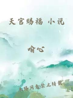 天官赐福 小说