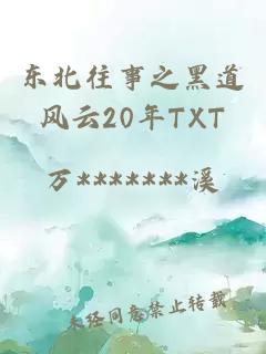 东北往事之黑道风云20年TXT