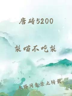 唐砖5200