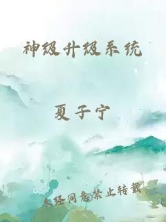 神级升级系统