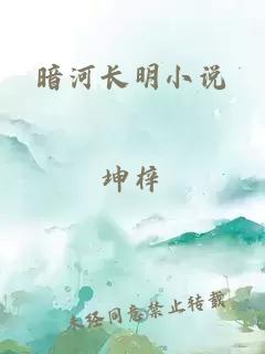 暗河长明小说