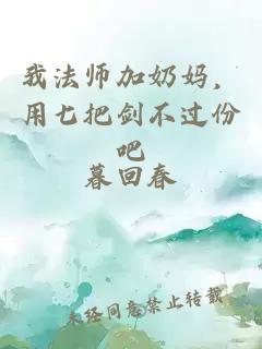 我法师加奶妈，用七把剑不过份吧