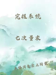 究极系统